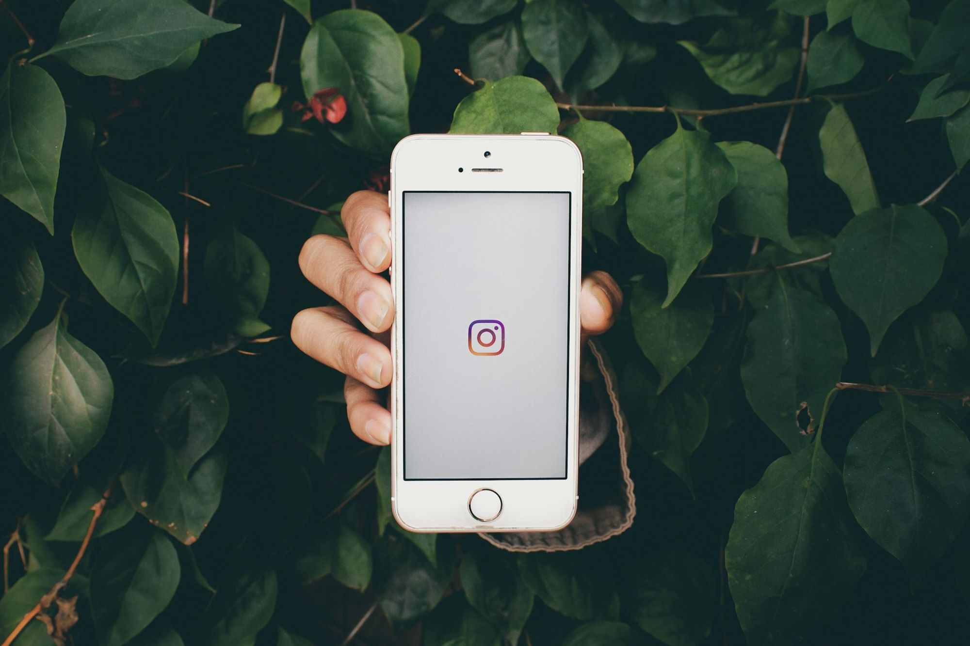 Exploring the Best Tools to Download Instagram Videos